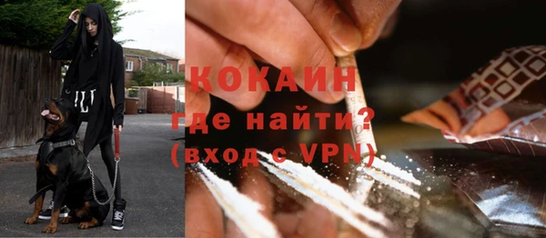 ПСИЛОЦИБИНОВЫЕ ГРИБЫ Пестово