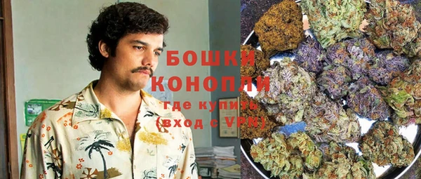молекула духа Алексин